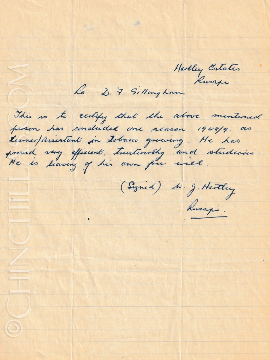 gillingham violet chinchilla tobacco industry